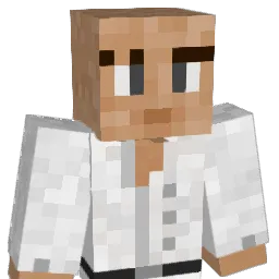 Sterioo Minecraft avatar bust