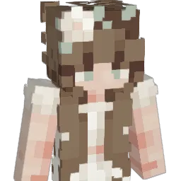 SterlingNova88 Minecraft avatar bust
