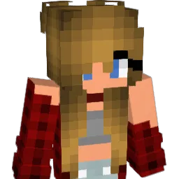 Sterre2008 Minecraft avatar bust