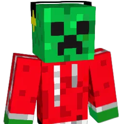 Stetson1 Minecraft avatar bust