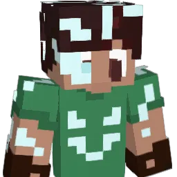 Steve24256
