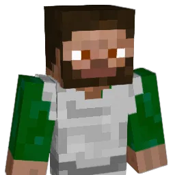 StinkyBadger Minecraft avatar bust
