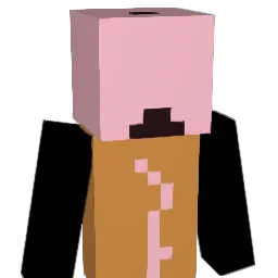 StinkyDawg2204 Minecraft avatar bust
