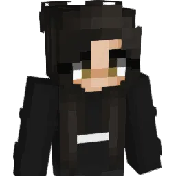 StinkyNapkin Minecraft avatar bust