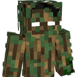 StoepseI Minecraft avatar bust