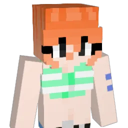 Stonnedminus1 Minecraft avatar bust