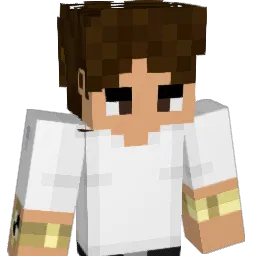 Stoop Minecraft avatar bust