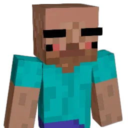 Stopa_twojej_sta Minecraft avatar bust