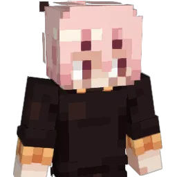 Stopitronny's Minecraft skin