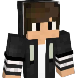 StormShadow22 Minecraft avatar bust