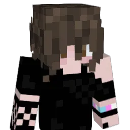 Stormfight1000 Minecraft avatar bust