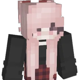 Stormy2334 Minecraft avatar bust