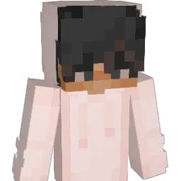 StormyCrispy Minecraft avatar bust