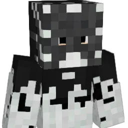 StriatedCrown12 Minecraft avatar bust