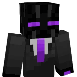 Strider793 Minecraft avatar bust