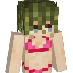 String_Parae's Minecraft skin