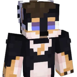 StringedCheez's Minecraft skin