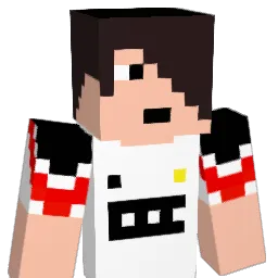 StryQ5 Minecraft avatar bust