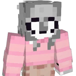 Stup1d1tyDX