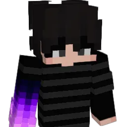 Su44yBa7a Minecraft avatar bust