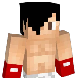 SuBaRu13 Minecraft avatar bust
