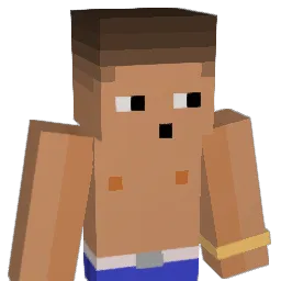 Suavecitos Minecraft avatar bust
