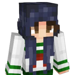 SugarDumpling Minecraft avatar bust