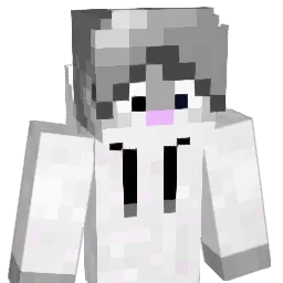 Suhopoljac Minecraft avatar bust