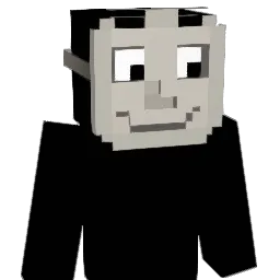 Suite Minecraft avatar bust