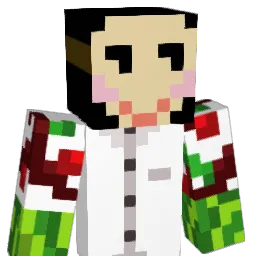 Summertunic8505 Minecraft avatar bust