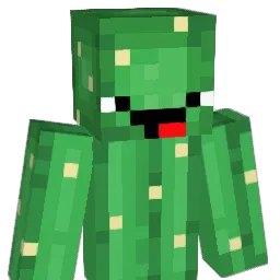 Sunhachi Minecraft avatar bust