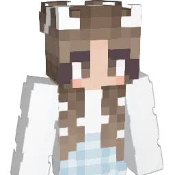 Sunniboi Minecraft avatar bust