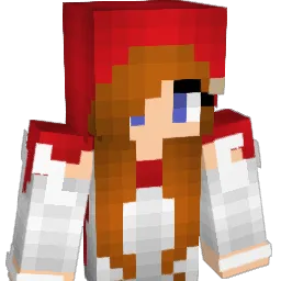 SunnyBr Minecraft avatar bust