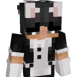 SunnyD691 Minecraft avatar bust