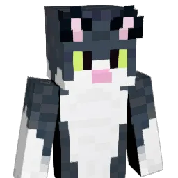 SunsetAlpha's Minecraft skin