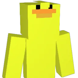 SuntONuca