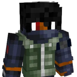 Super234Ninja