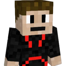 SuperBee1243 Minecraft avatar bust