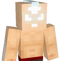 SuperDomo10 Minecraft avatar bust