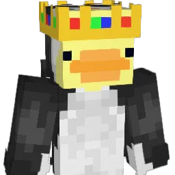SuperDuck5000's Minecraft skin