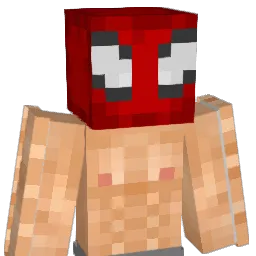 SuperNugget69 Minecraft avatar bust