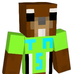 SuperSquirrel4 Minecraft avatar bust