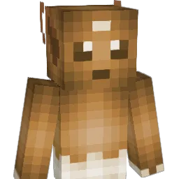 SuperTj Minecraft avatar bust