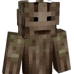 Super_Cool315 Minecraft avatar bust