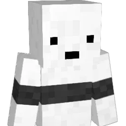 SupremeSushi Minecraft avatar bust