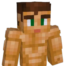 Supreme_Commande Minecraft avatar bust