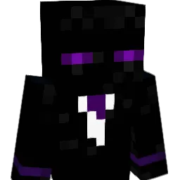 Suprise13 Minecraft avatar bust