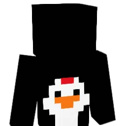 Surferio's Minecraft skin