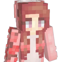 SushiAkii Minecraft avatar bust