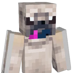 SushiReynolds Minecraft avatar bust